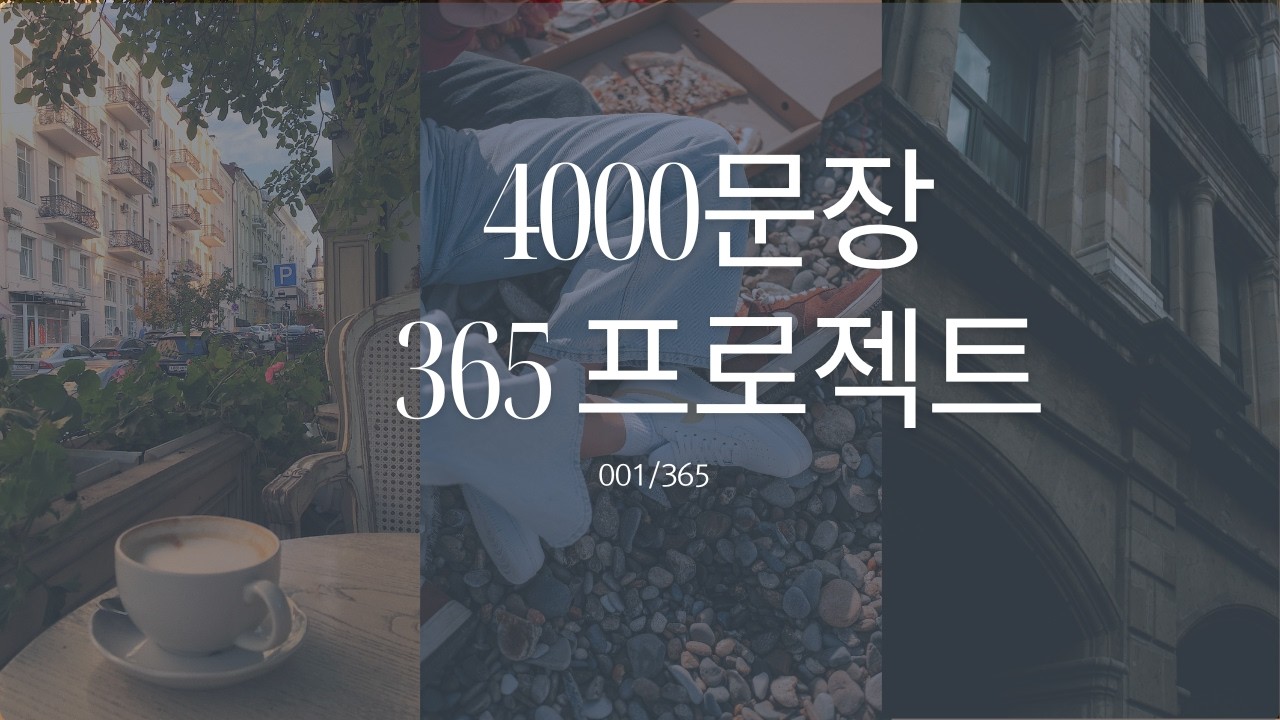 영어회화, 매일 12문장씩 1년이면 끝납니다. 001/365   #영어#영어회화 #영어공부 #성인영어회화 #영어교육#영어어순