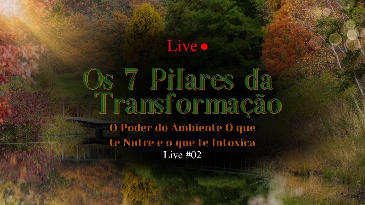 OS 7 PILARES DA TRANSFORMAÇÃO - O Poder do Ambiente, o que te Nutre e o que te Intoxica #02