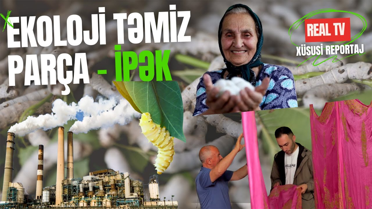 Ekoloji təmiz parça – İpək