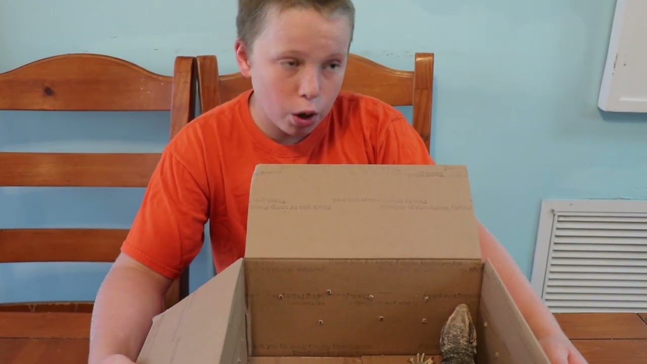Savannah Monitor unboxing.