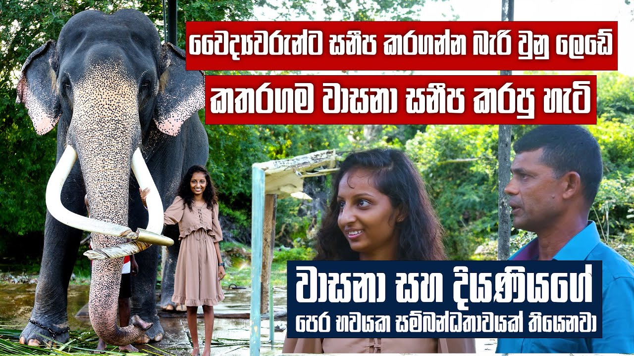 සතියට පාරක් ලේ මාරු කරනවා - හැබැයි වාසනා හම්බවුනාට පස්සේ ලෙඩ ඔක්කොම සනීප වුනා | Pet Talk