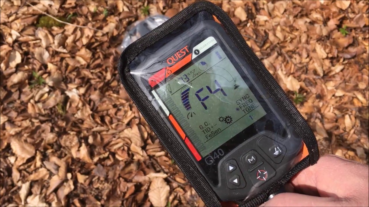 Metalldetektor Quest Q40 - Sondeln im Wald (www.quest-shop.de)