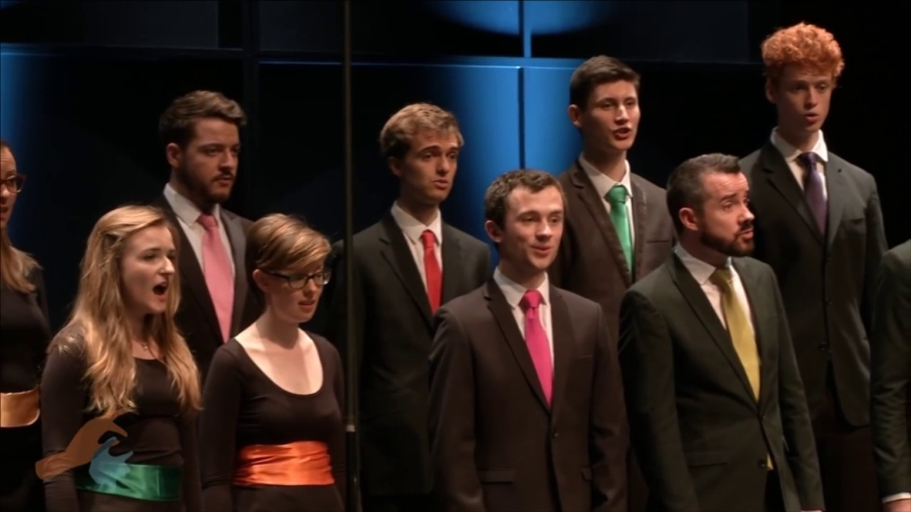 New Dublin Voices - 