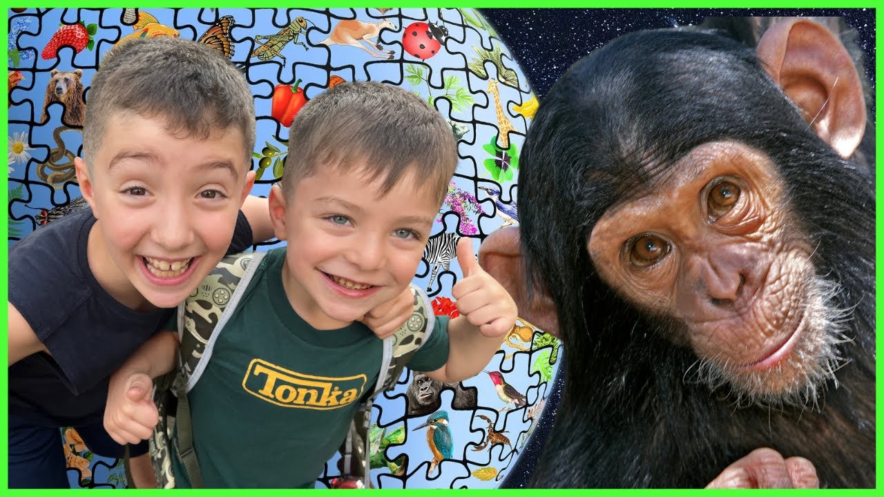 MONKEYS for Kids 🐵 Monkey Wildlife Sanctuary 🐒 Animals for Kids