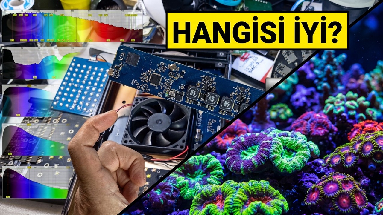 Deniz Akvaryumu Aydınlatma Kıyaslamaları
