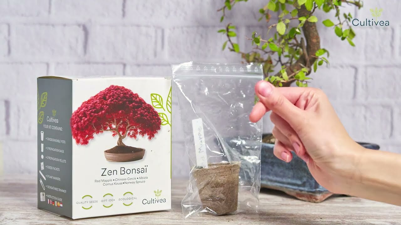 Cultivea - Mini Kit Zen Bonsai - Tutoriel vid&eacute;o