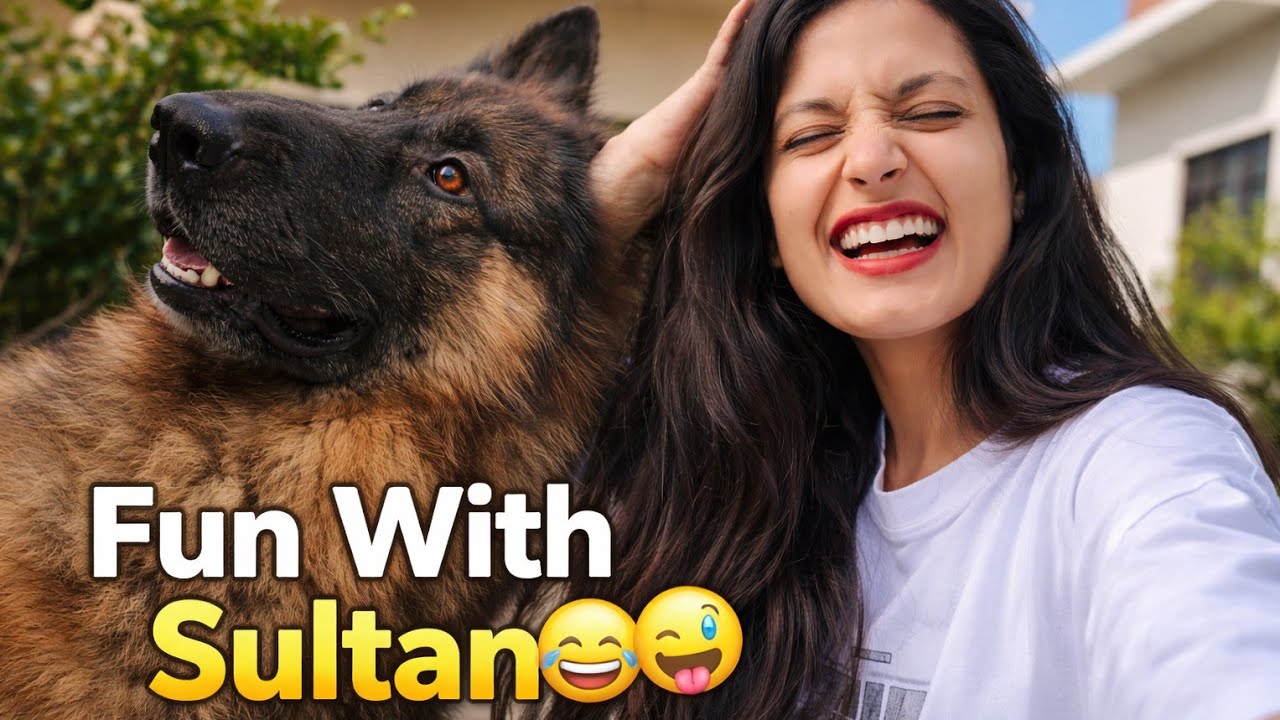 My new blog with my  family members #vairal #vlog #blogger #minivlog #ytvlog #trending #youtube 