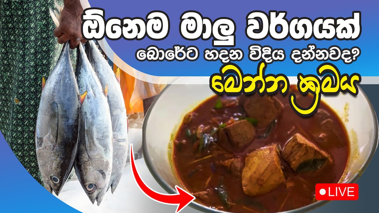 ඕනෑම මාළු වර්ගයක්  බොරේට හදන විදිය දන්නවද මෙන්න ක්‍රමය