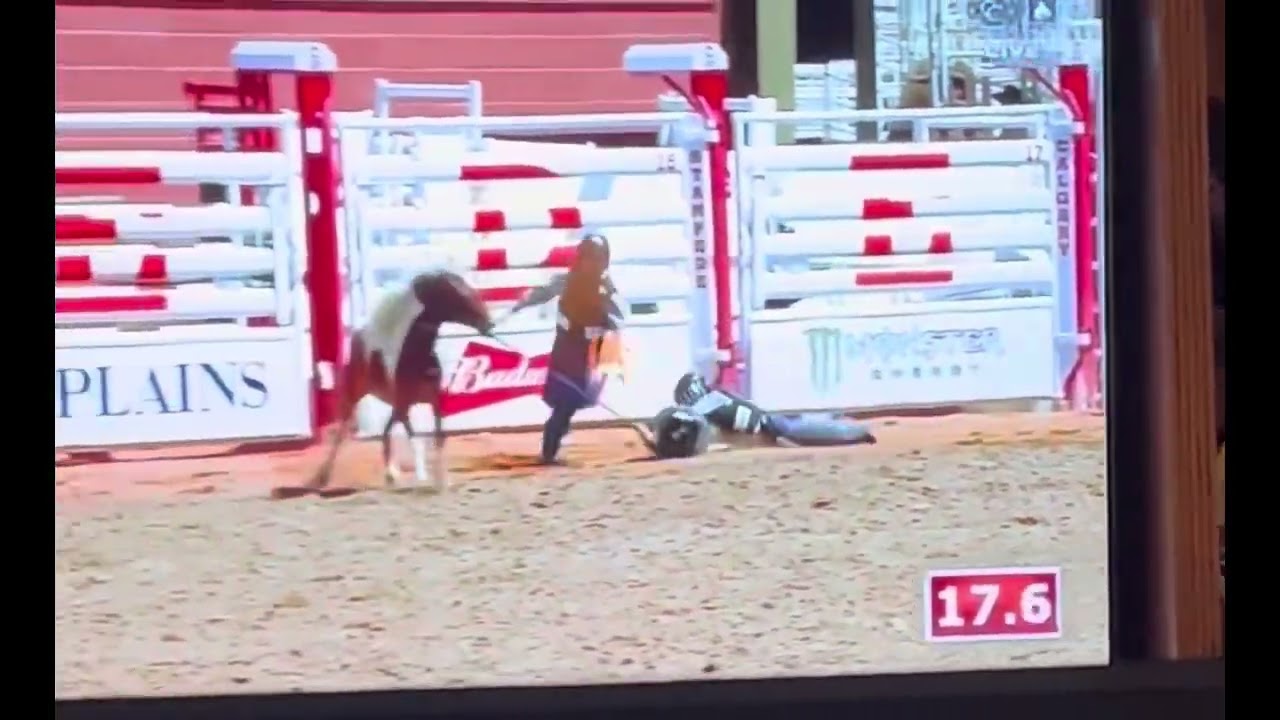 Calgary Wild Pony Ride