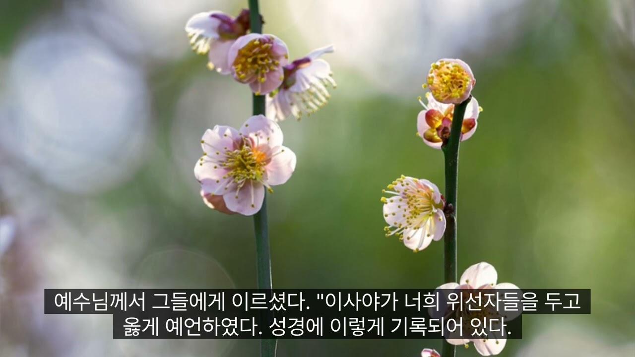 (복음) 너희는 하느님의 계명을 버리고 사람의 전통을 지킨다