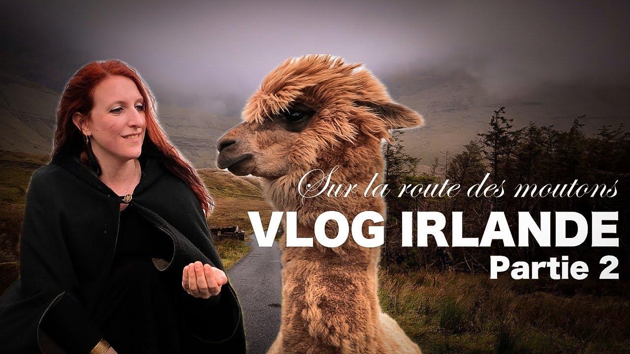 ☘️ VLOG Irlande 2 🇮🇪 Sur la route des moutons : Cliffs of Moher, Connemara et paysages épiques ✨