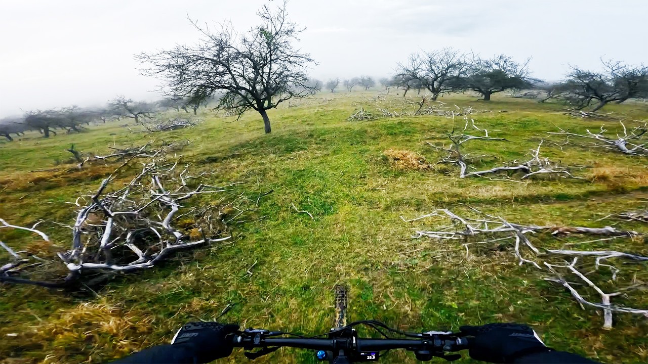 Winter eMTB Ride - Dodging branches on Misty Hills | GoPro Raw POV