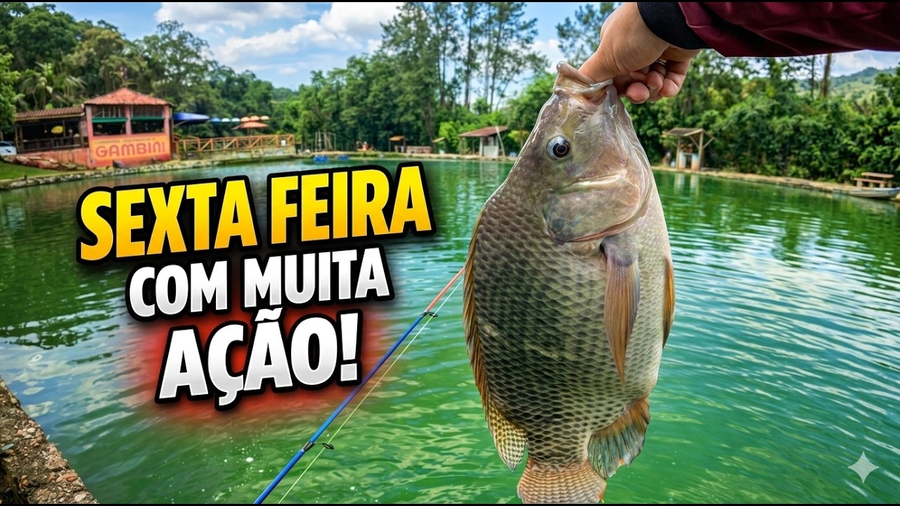 [08] PESCA DE SEXTA, PESQUEIRO GAMBINI