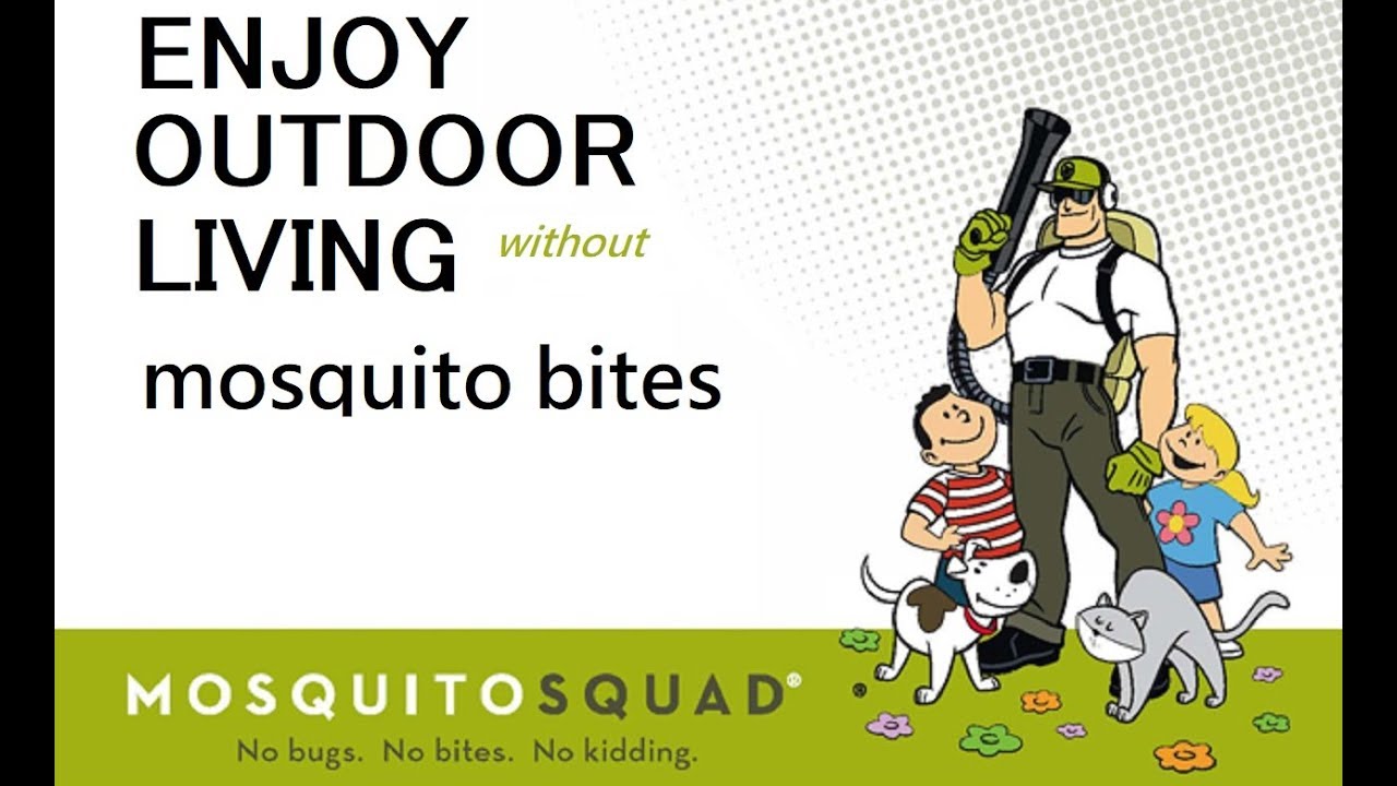 Mosquito Squad in Houston Texas