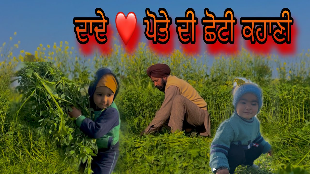 ਪੇਸ ਕਰ ਰਹੇ ਨੇ ਦਾਦੇ ਪੋਤੇ ਦੀ ਛੋਟੀ ਕਹਾਣੀ ❤️ ਜ਼ਰੂਰ 👍 ਵੇਖੋ ॥ ਸ਼ੇਅਰ ਕਰੋ ॥ ਕਮੈਟ ਕਰੋ ॥#punjab#vrilvideo#