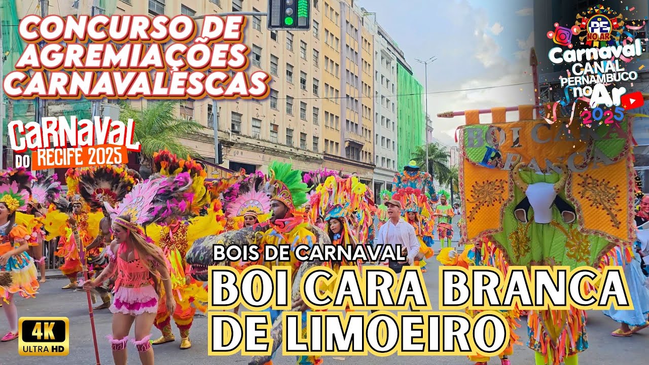 [CARNAVAL 2025] BOI CARA BRANCA DE LIMOEIRO CONCURSO DE AGREMIAÇÕES CARNAVALESCAS DO RECIFE 2025
