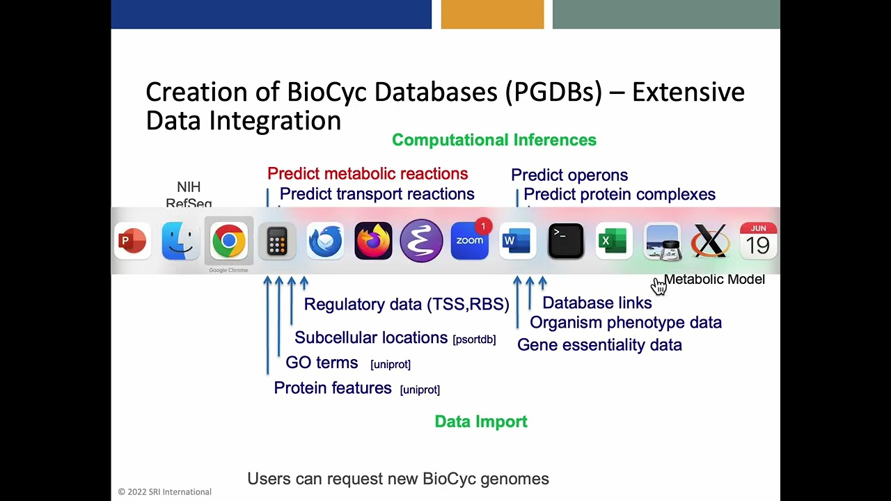 A Comparison of the BioCyc and KEGG Pathway Databases