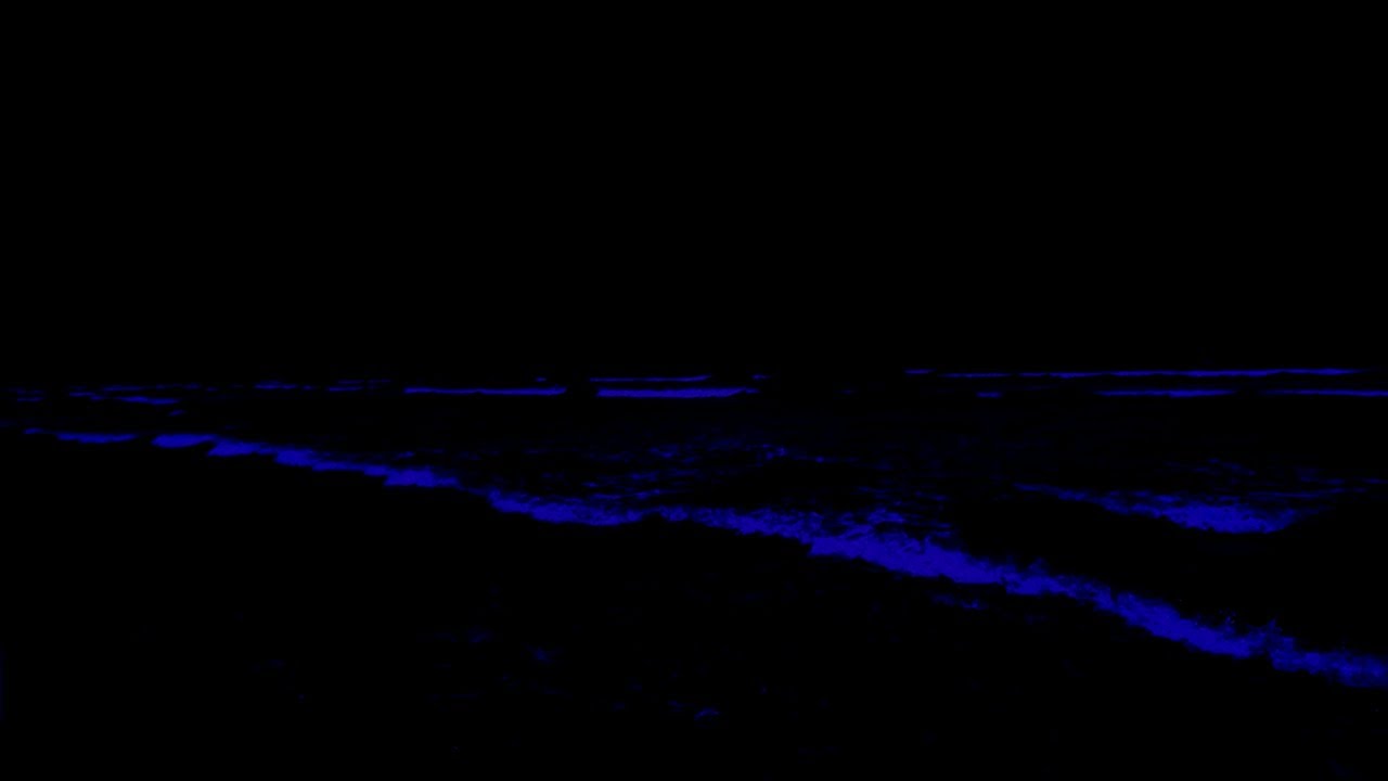 Calming Sleep Music • Calm The Mind and Healing Sleep With Soothing Ocean Waves Rolling All Night