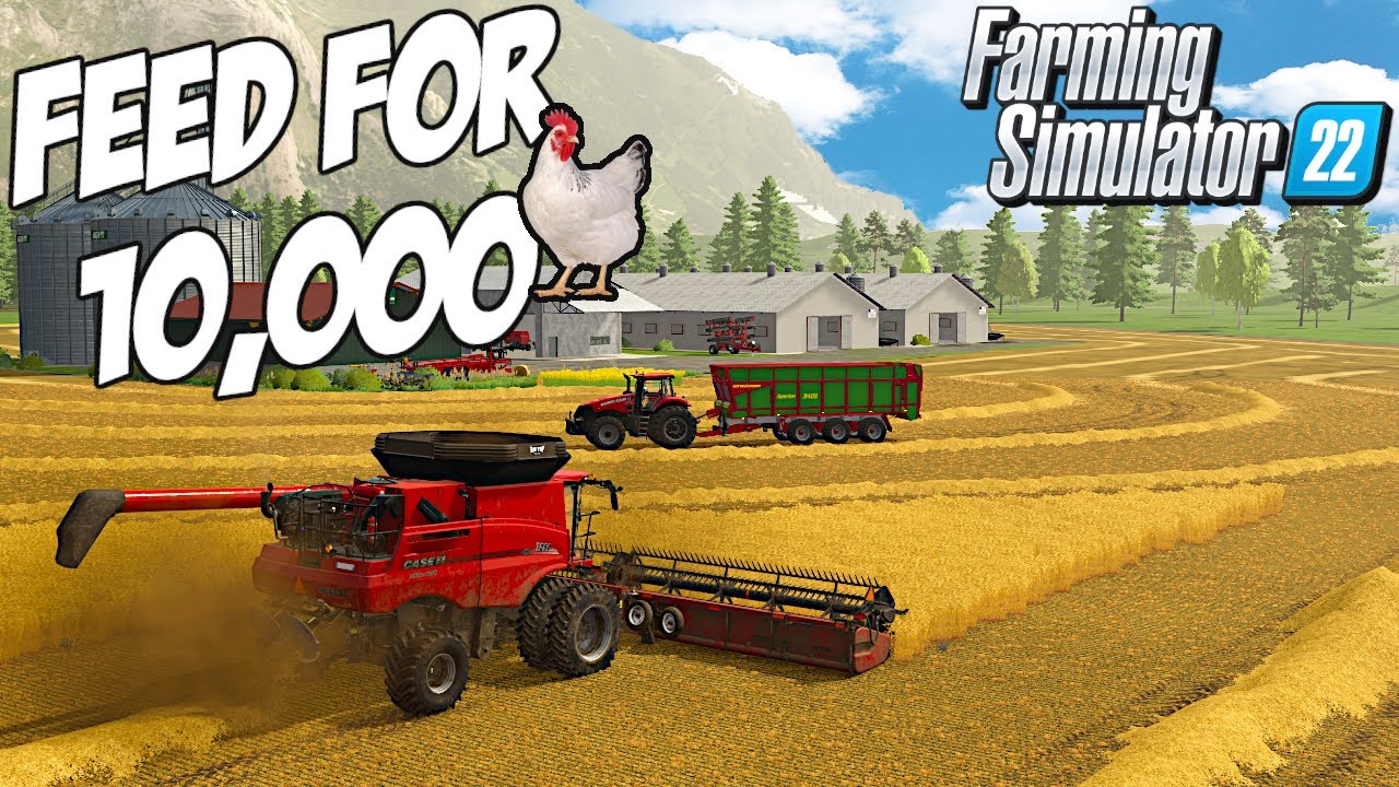 Is This Enough Feed for 10,000 Chickens? | Farming Simulator 22
