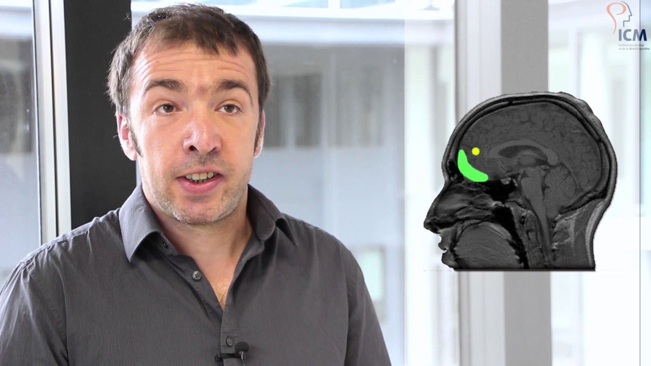 Let's Talk : Pourquoi procrastine-t-on ?