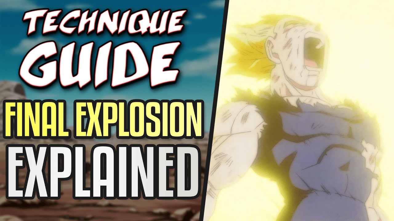 Vegeta's Sacrifice Explained