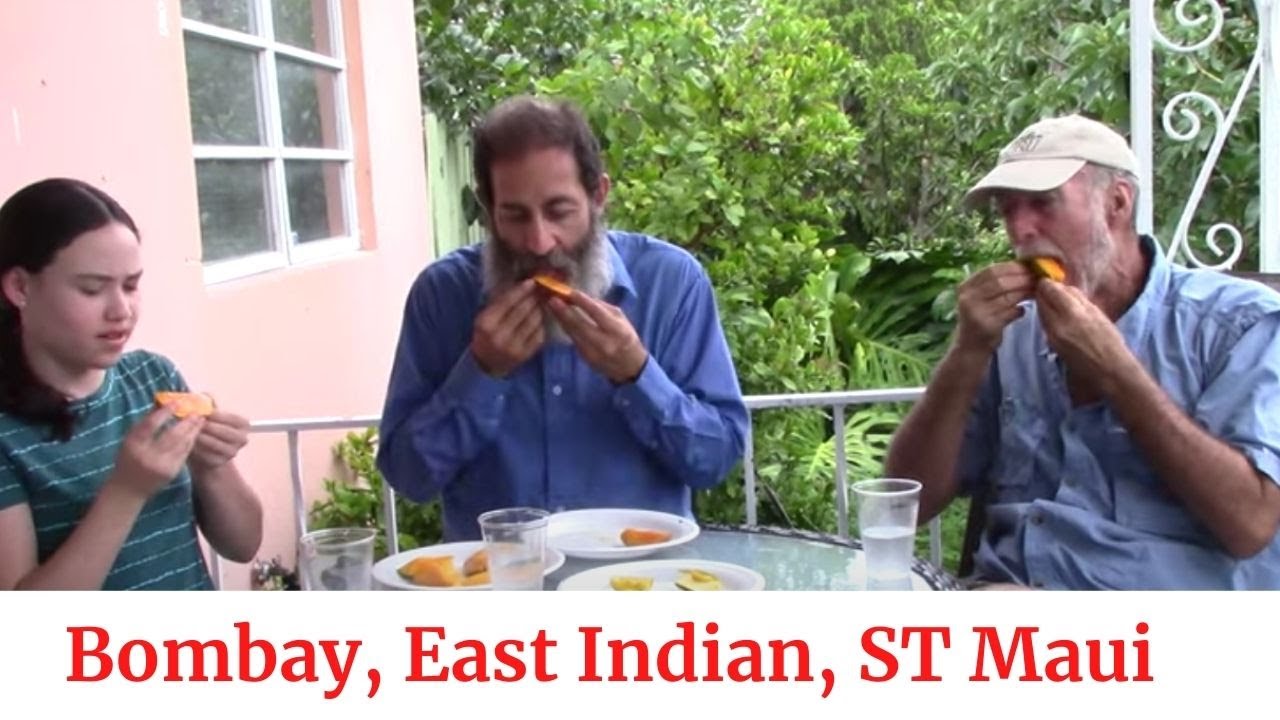 Mango Taste Test #5 Bombay, East Indian and ST Maui