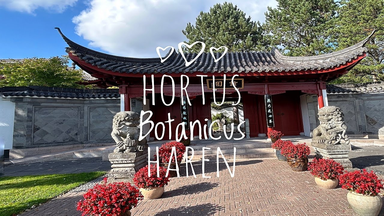 Hortus Botanicus Haren-Groningen Chinese tuin - #HortusHaren