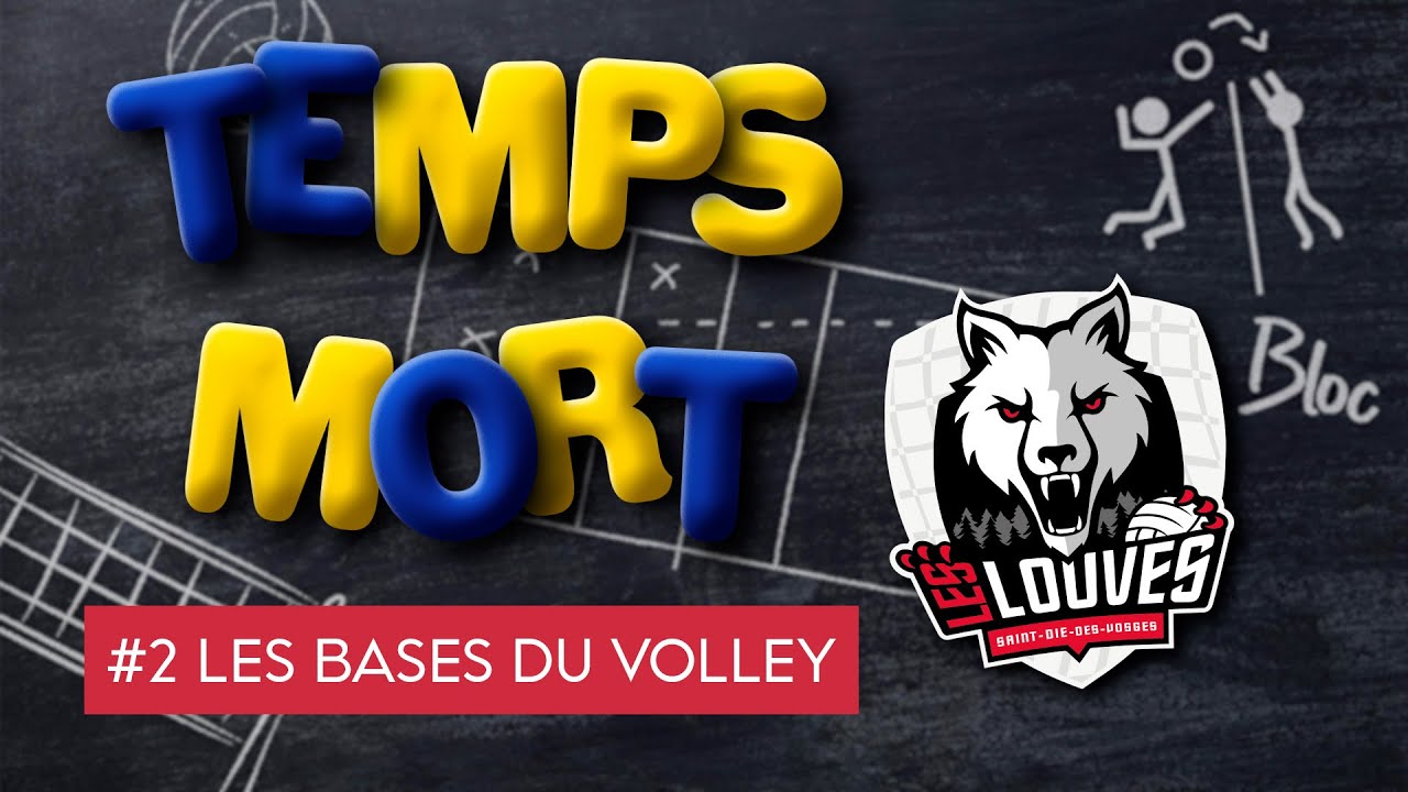 Temps mort #2 - Les bases du volley