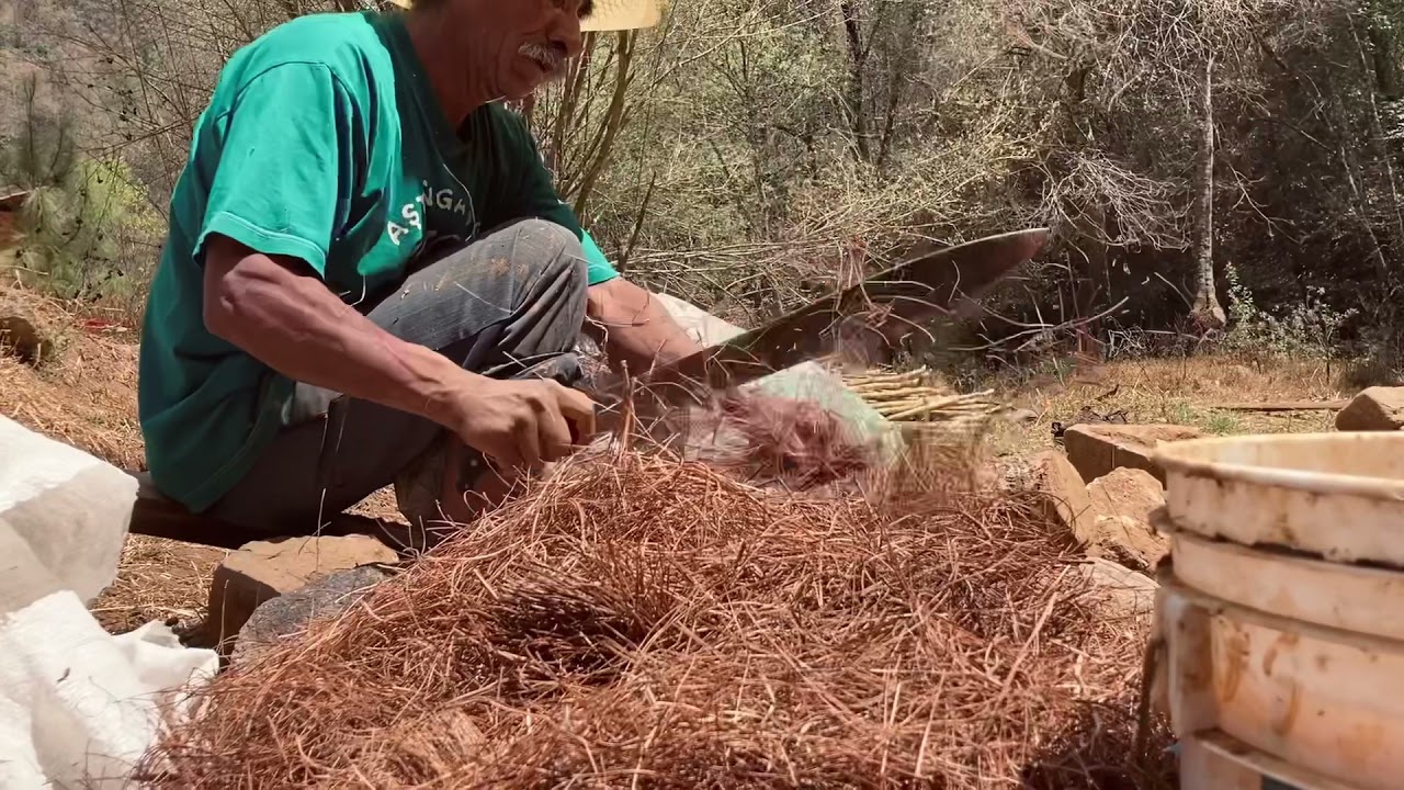 Building a Temazcal in Oaxaca, Mexico