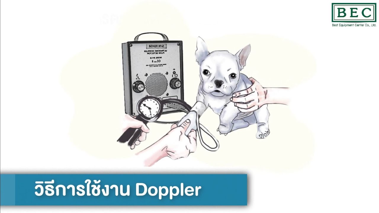 วิธีการใช้งานเครื่องวัดแรงดันเลือดสำหรับสัตว์เล็ก Doppler Park Model 811-BL  BY:BEC