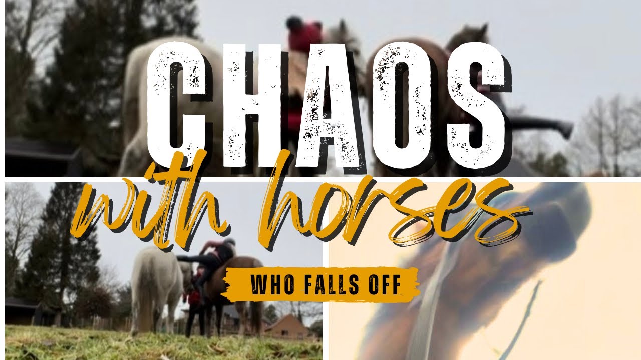 CHAOS WHO FALLS OFF? 1.9K SPECIAL |Summer The Equestrian