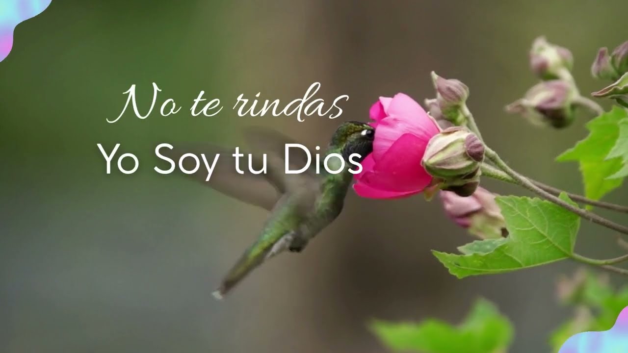 No Temas, Yo Soy tu fuerza | Isaías 43 #Isaías43 #fe  #NoTemas #AdoraciónCristiana #MúsicaParaOrar