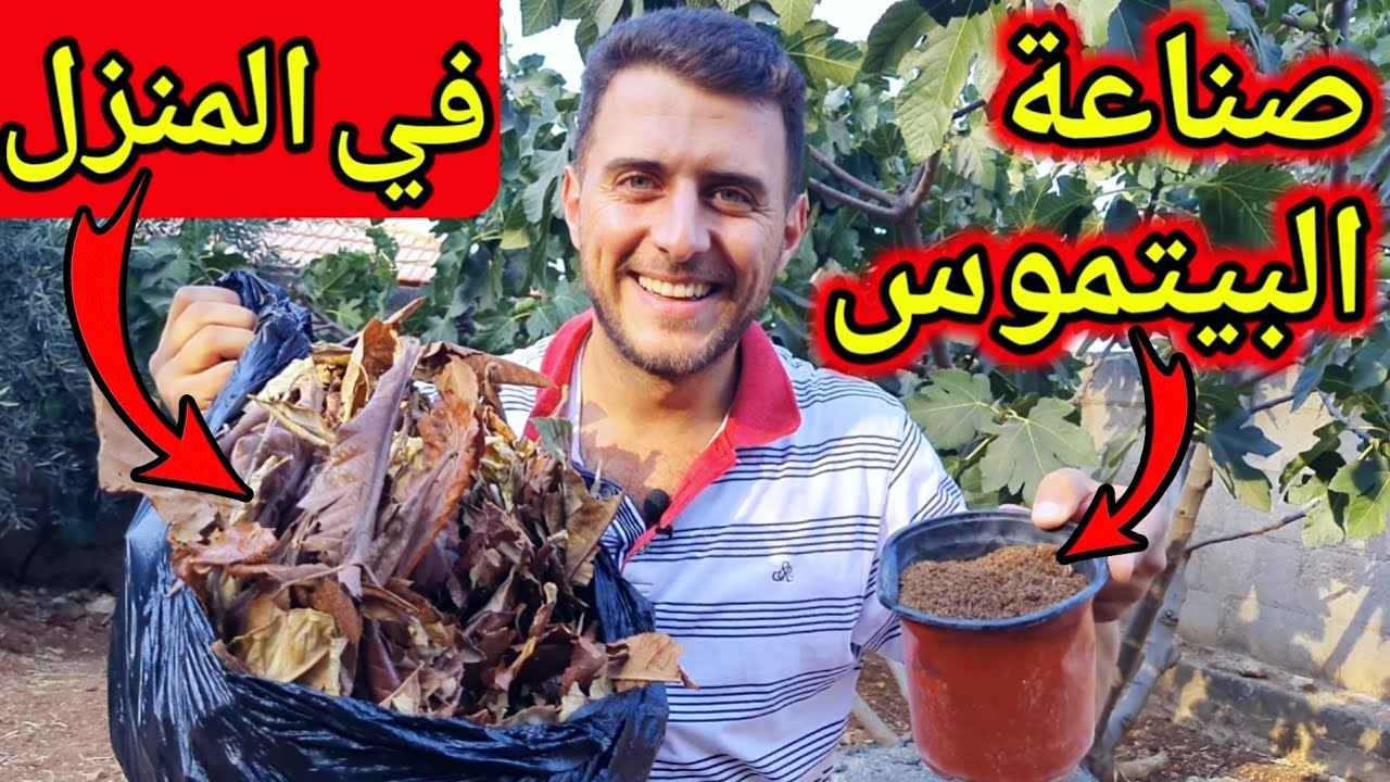 إصنع البيتموس في المنزل بنفسك بتكلفة صفر دولار (التربة الزراعية السحرية!)