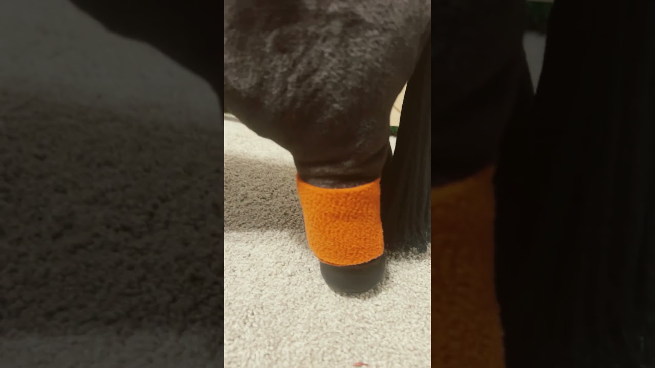 New LeMieux Apricot Polo Wraps