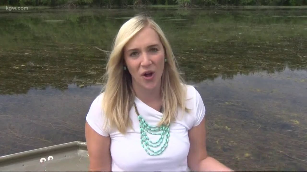 Group pushes to save Vancouver Lake