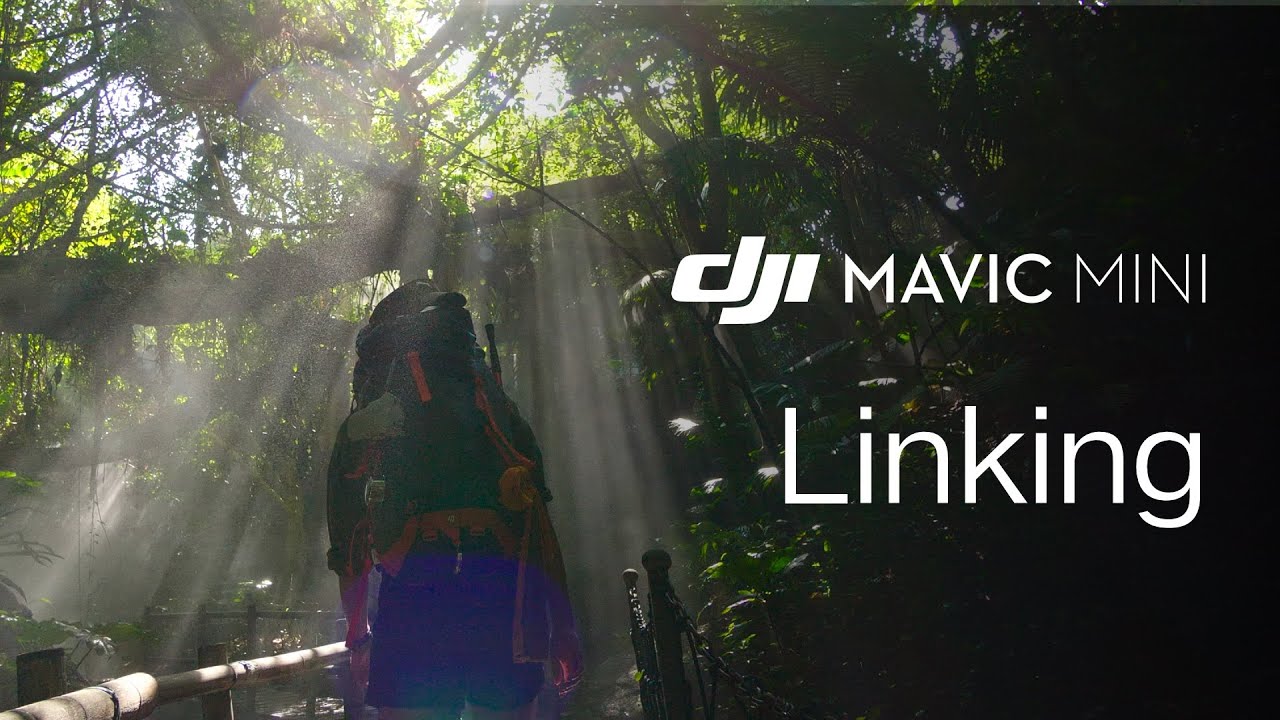 Mavic Mini | How To Link The Remote Controller