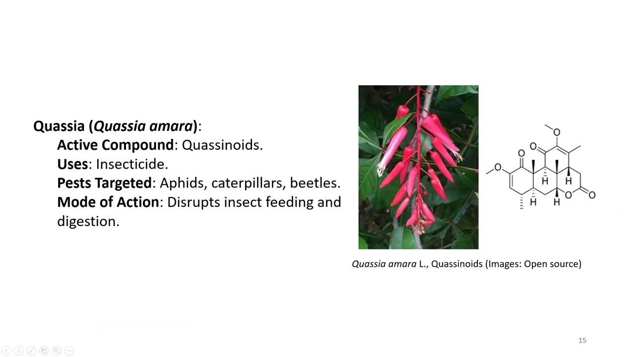 Lec 25: Biopesticides and Integrated Pest Management #swayamprabha