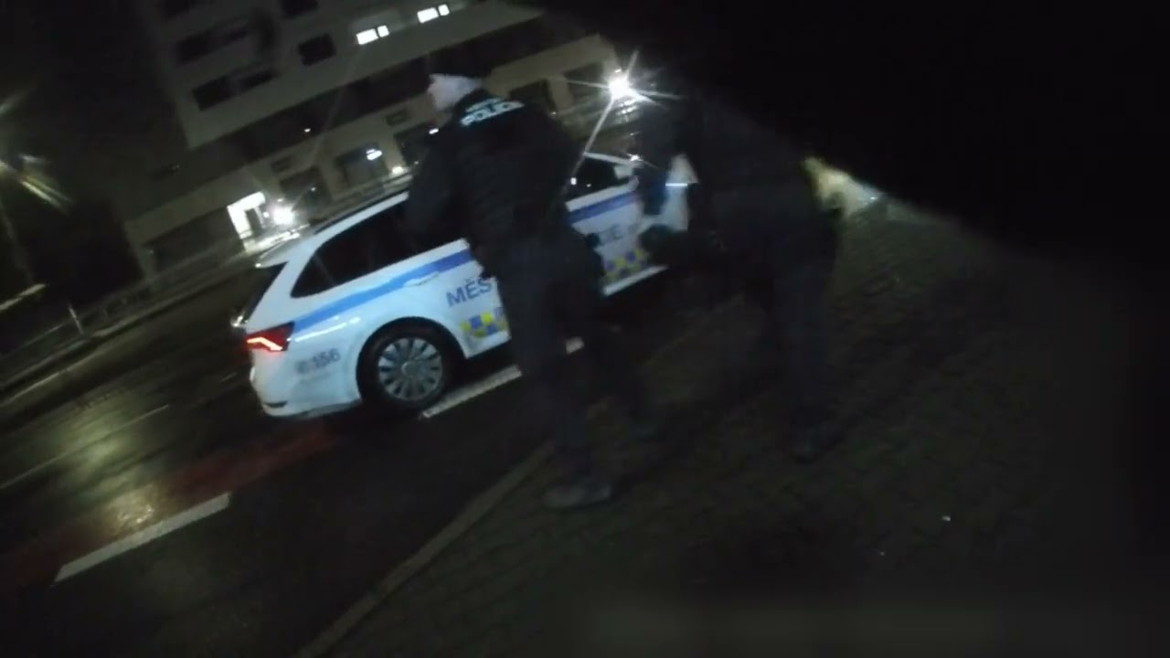 STRÁŽNÍCI V BRNĚ VYPÁTRALI DVA ÚDAJNÉ SPREJERY