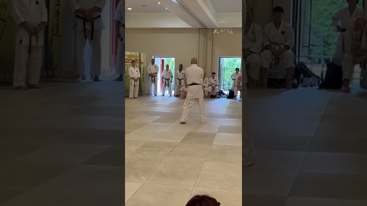 Pechurin Dai Ichi, performed by Sensei Jorge Monteiro, IOGKF Portugal Chief Instructor.