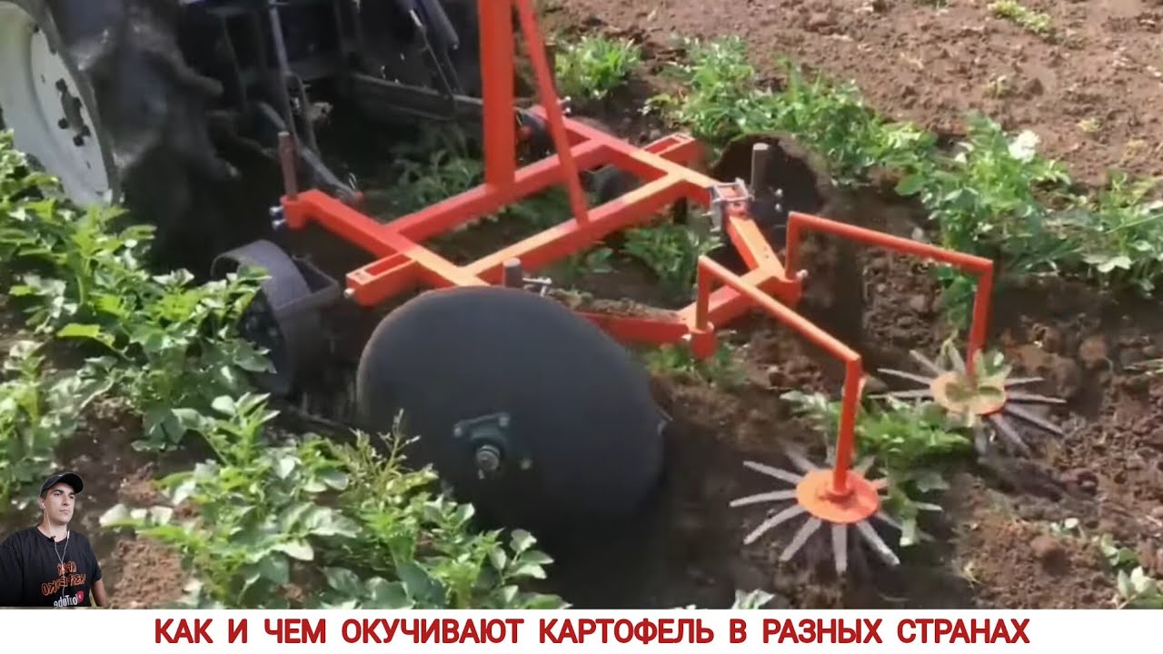 КАК И ЧЕМ ОКУЧИВАЮТ КАРТОФЕЛЬ В РАЗНЫХ СТРАНАХ МИРА / POTATO HILLING IN DIFFERENT COUNTRIES