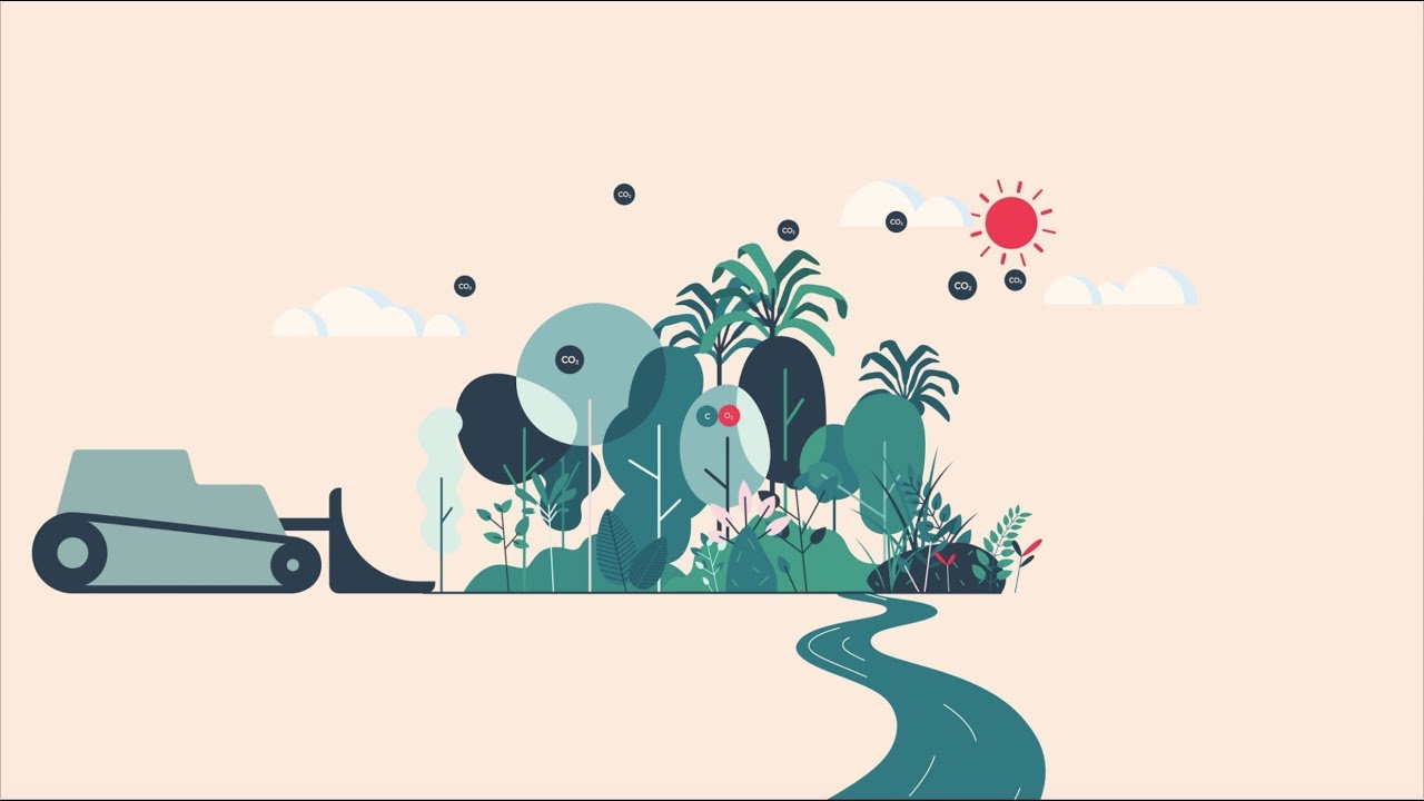 Equinor is ready to invest in tropical forest protection