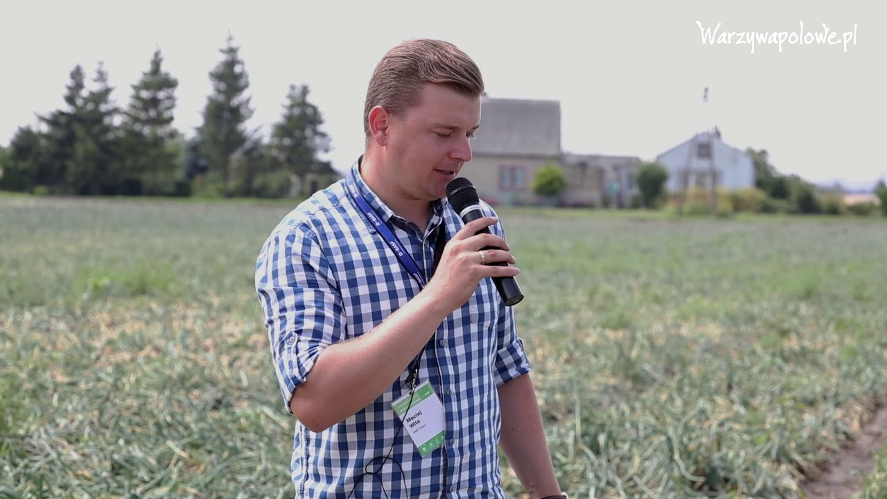 Cebula z dymki - ochrona i zwalczanie chwastów
