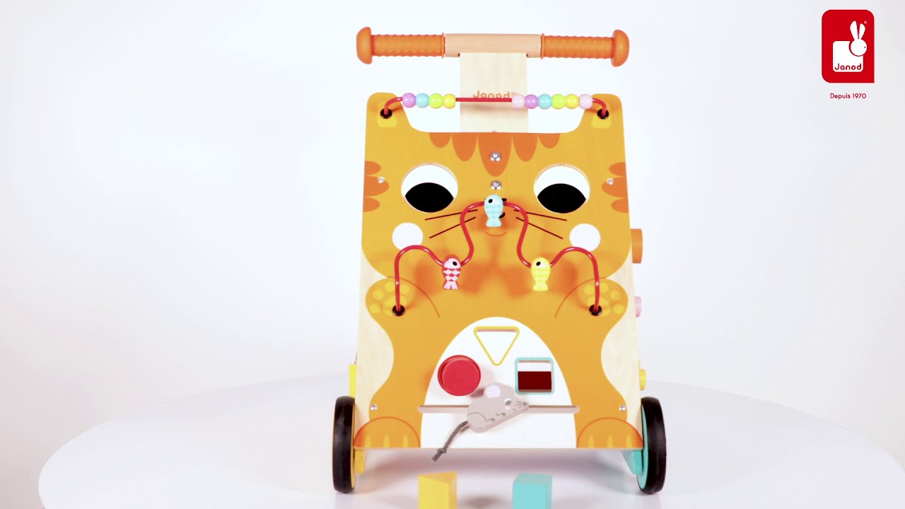 Janod - Chariot Multi-Activit&eacute;s Chat