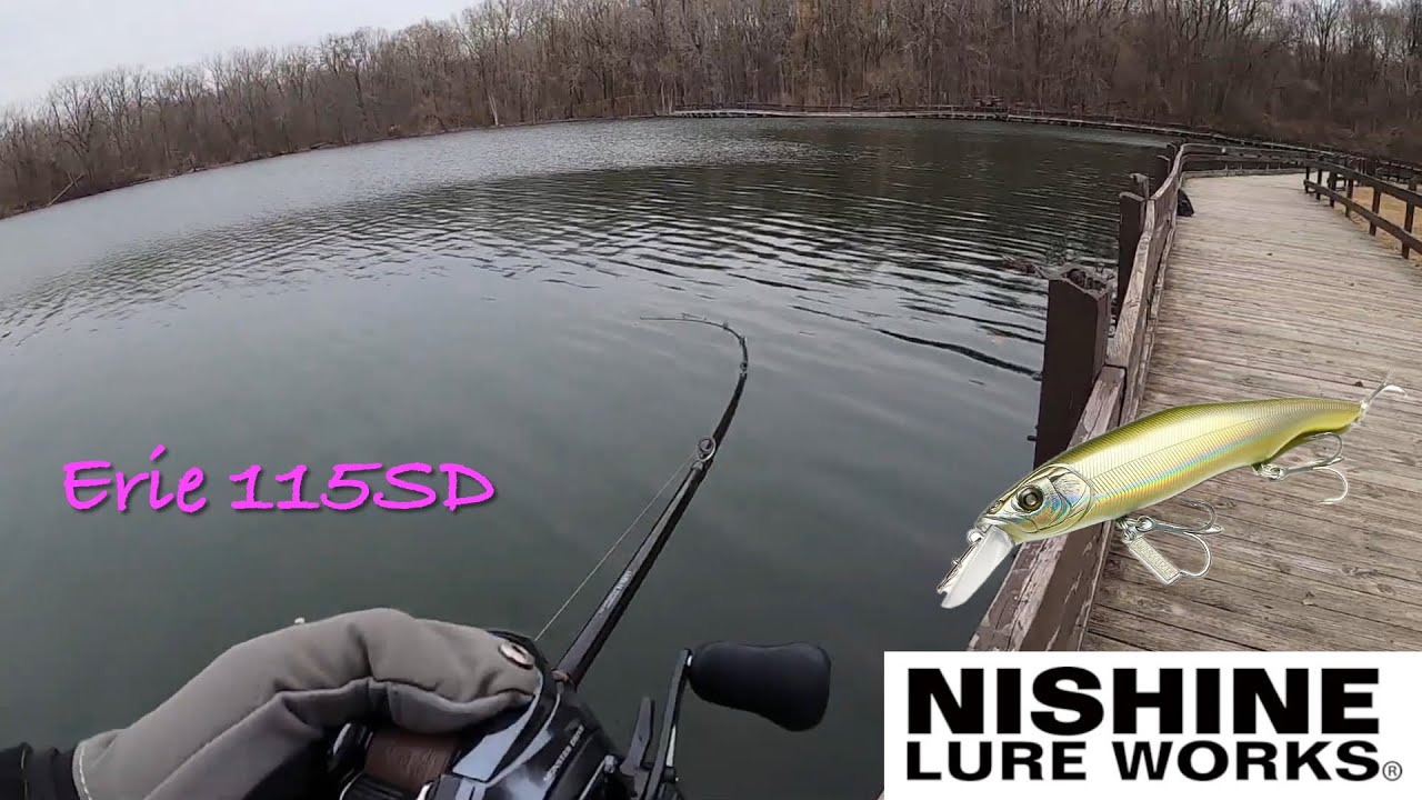 Nishine Lure Works' Erie 115SD is a go-to bait in early spring. ニシネルアーワークス エリー115SDで早春のジャークベイトフィッシング