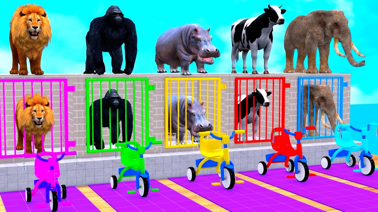 Long Slide Game With Cow Elephant Gorilla Hippopotamus Tiger - 3d Animal Game - Funny 3d Animals