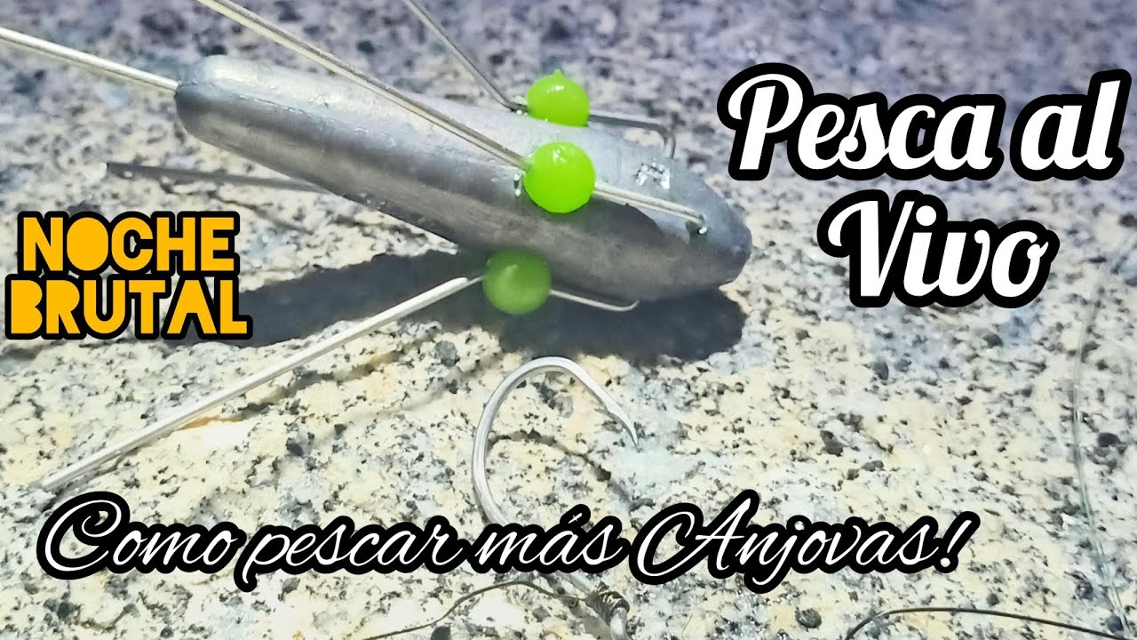 CÓMO pescar más ANJOVAS , noche BRUTAL!  #pesca #anjova #pescaalvivo