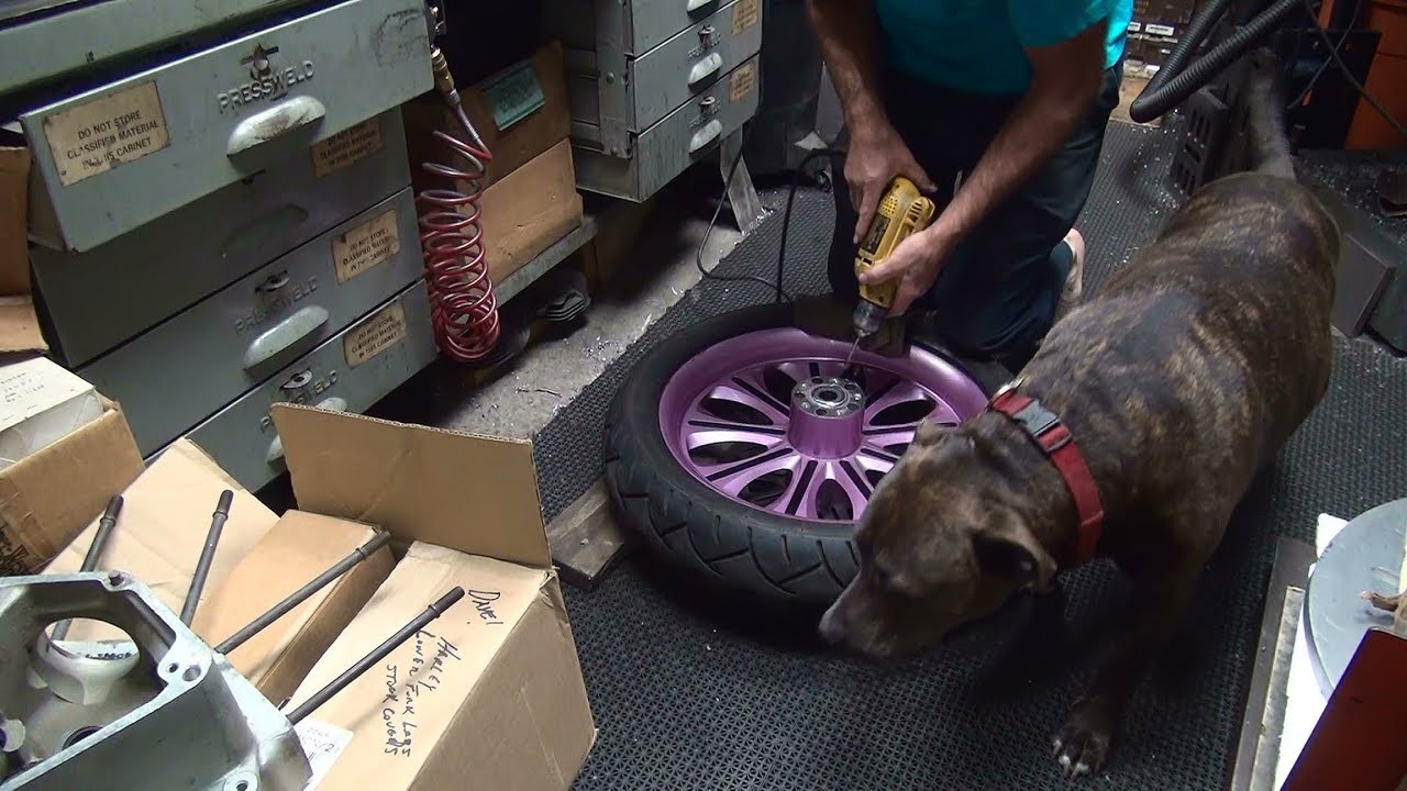 #134 how to do it, remove broken sprocket pulley bolts rear wheel harley twincam by tatro machine
