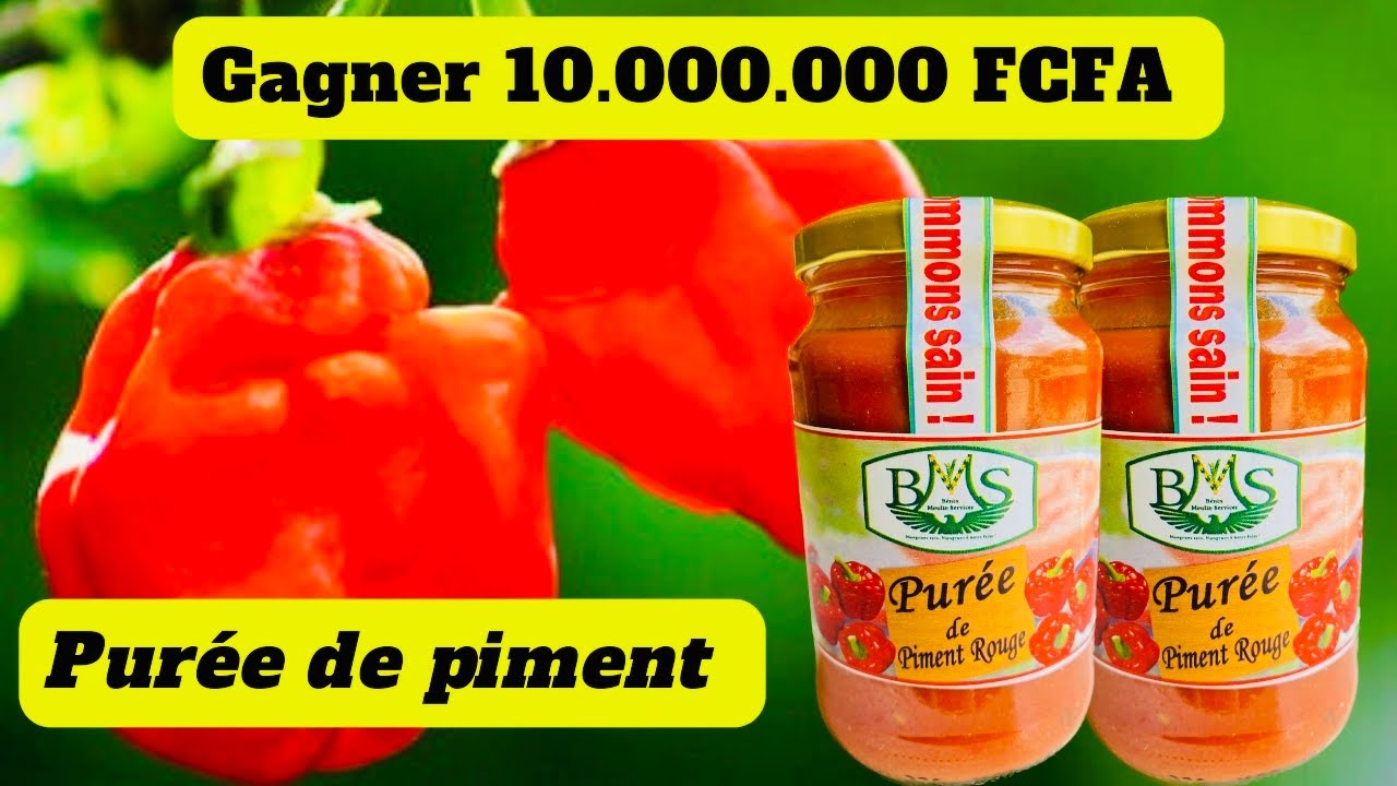 Comment produire la purée de #piment et réaliser  10.000.000F CFA ? #transformation #agroalimentaire