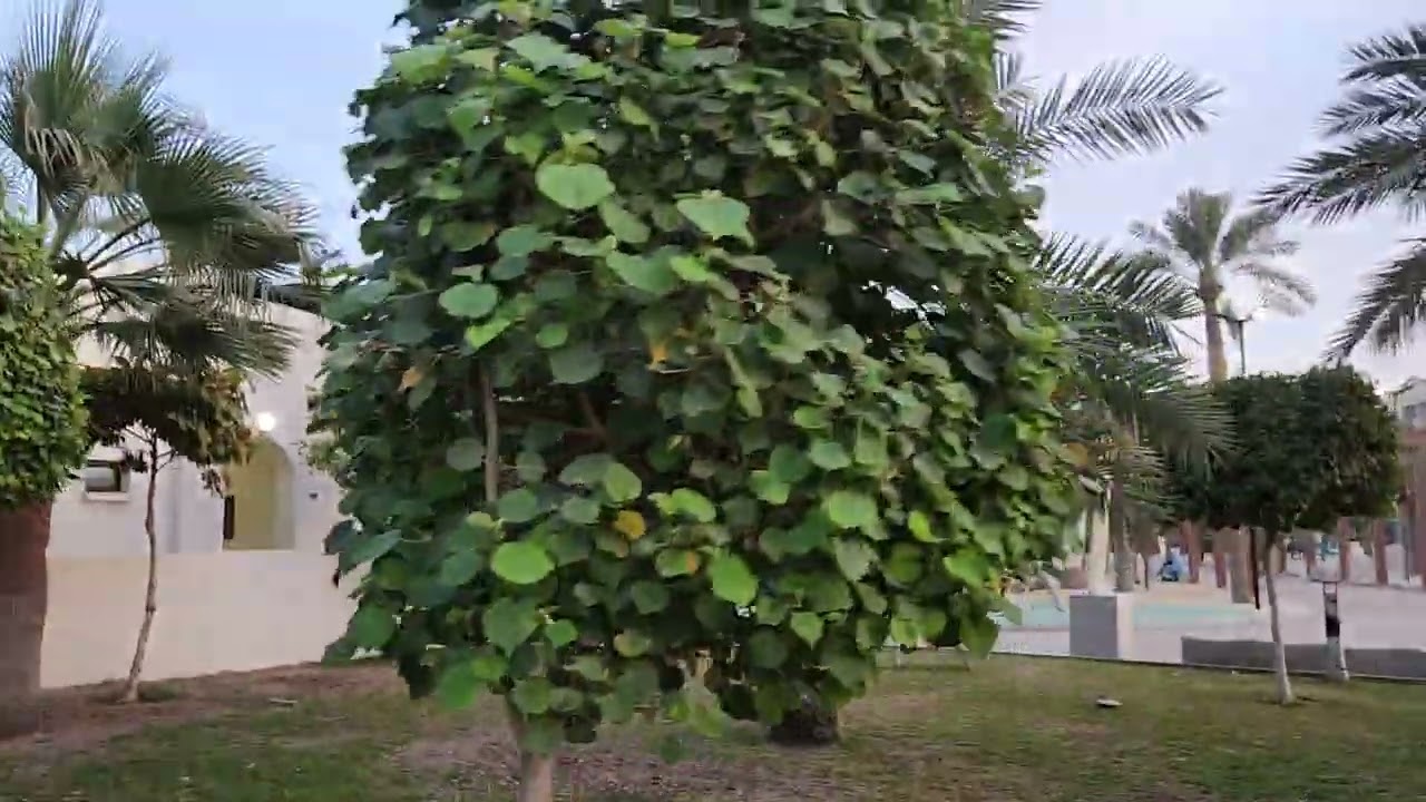 ٩ فبراير ٢٠٢٦