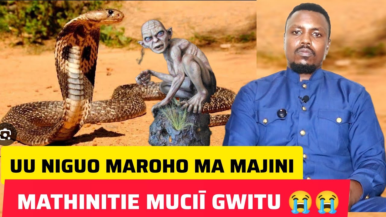 Maroho  MA NGOMA MANYUMAGIRIRA UTUKU TWI TORO NA O MUTUMIA URIA NDAHIKIA NO KURWARA ARWARAGA